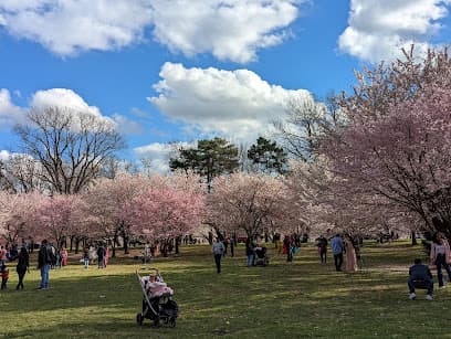 Branch Brook Park