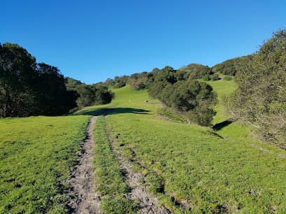 Franklin Canyon