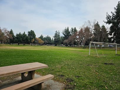 Pele Center #8