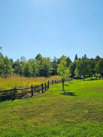 Magnolia Meadows Park