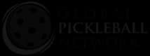 pickleball partner 3